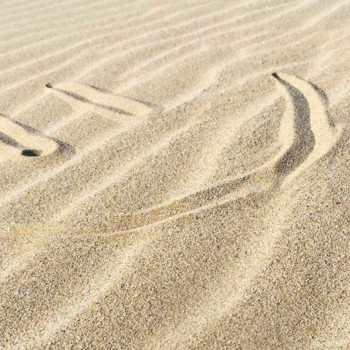 Buone abitudini in vacanza